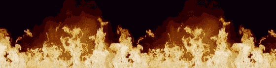 اليوم السابع تنفرد بخبرمطالبة المنظمة بتطبيق القانون بكل حزم على المعتدين على مقر حزب الوفد بالدقى