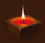 اليوم السابع تنفرد بخبر مطالبة رئيس المنظمة الشعب المصرى بالإلتفاف حول مصلحة الوطن