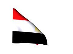 شاهرنورالدين ” لاتستجيبوا لدعوات ١١ نوفمبر مصر أمانه فى رقبتك