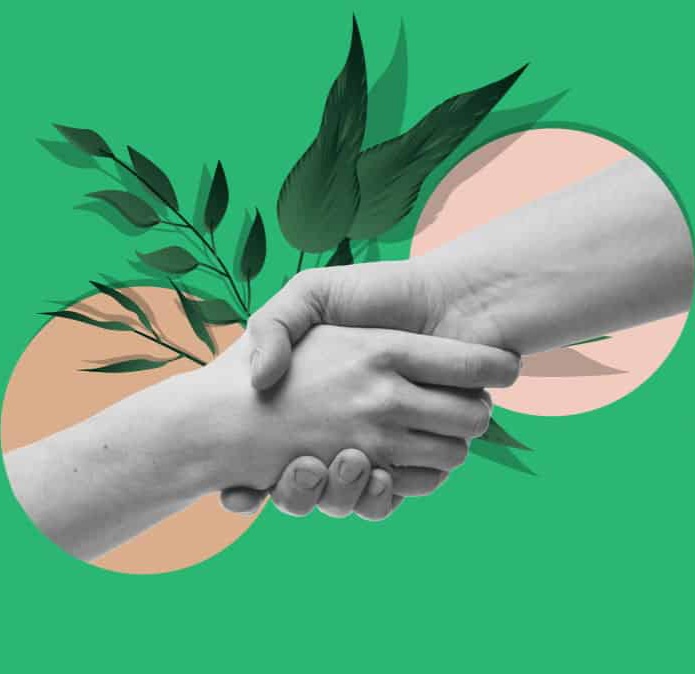 المنظمة تنجح فى المصالحة بين عشيرتي الحشاوين والبازات في غرب كوباني